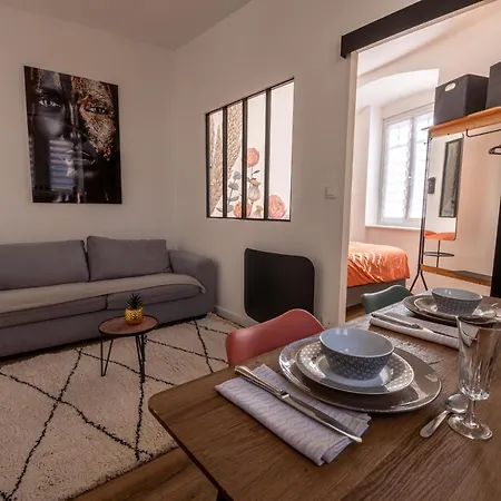 Appartement Cosy Avec Jardin Au Centre Historique De Selestat & Proche Europa-Park Exterior photo