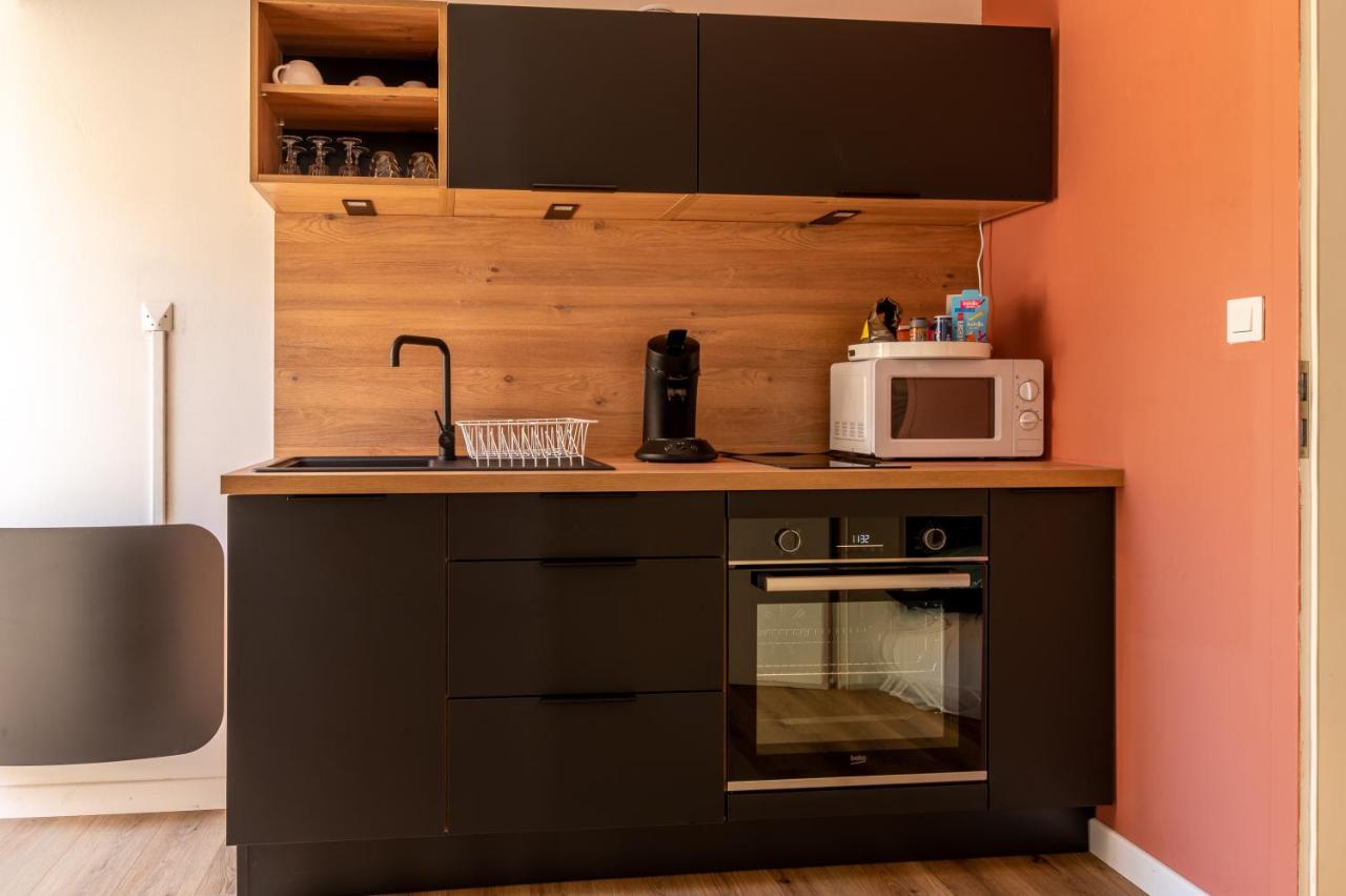 Cosy Avec Jardin Au Centre Historique De & Proche Europa-park Apartment Selestat